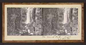 La Chute Vernale. 300 pieds. Yosemite. - Carleton E. Watkins